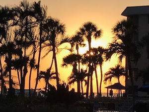 Meet your Posher, Ella